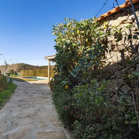 Casa Do Boticas Braga